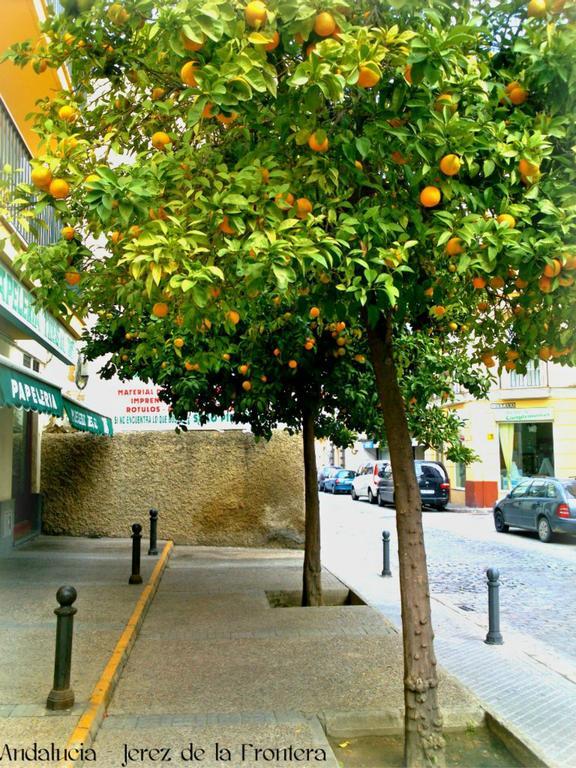 Al Andalus Jerez Hotel Херес де ла Фронтера Екстериор снимка